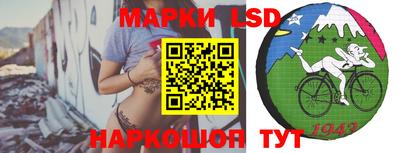 прущие грибы Мариинск